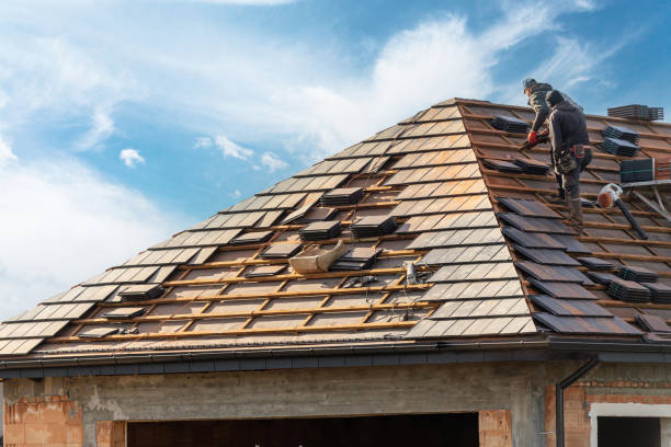 Best Emergency Roof Repair Services  in Plainview, TN